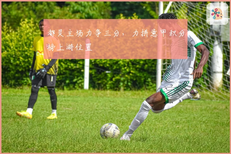 都灵主场力争三分，力拼意甲积分榜上游位置