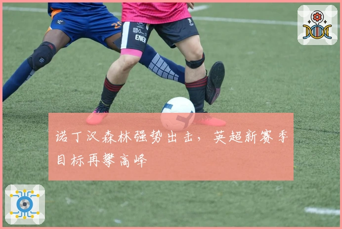 诺丁汉森林强势出击，英超新赛季目标再攀高峰